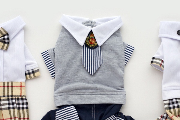 1449115121725860.jpg MQ-CZ106_4.jpg