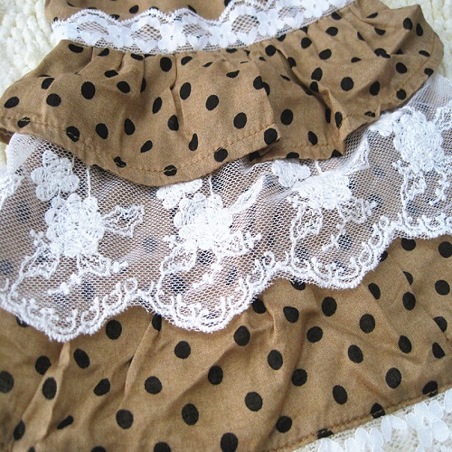 1449127618349891.jpg IMG_5722.JPG