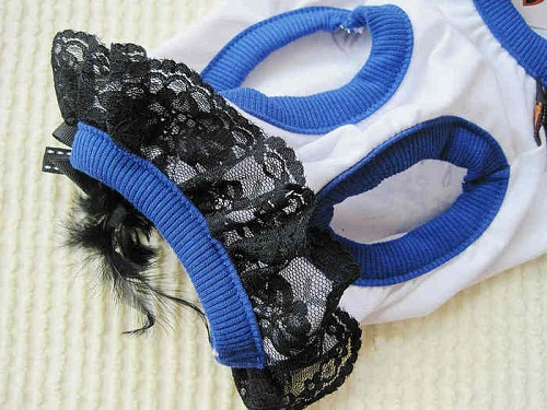 1449129339905517.jpg IMG_6768_.jpg