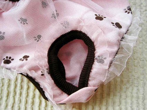 1449135084370503.jpg IMG_6799_.jpg