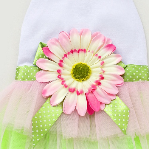 1449197219950701.jpg MQ-XZ115_7.jpg