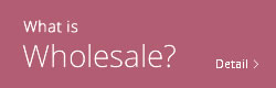 What is Wholesale?