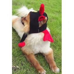 Capricornus Hat With Elastic Chin Strap