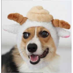 Shit Sheep Style Hat