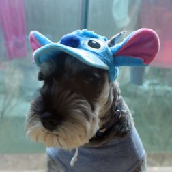 Squirrel Cartoon Baseball Cap