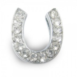 Metal Silver Horseshoe Shape Pet Pendant