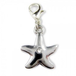 Sparkling Pentagram Shaped Pet Pendant