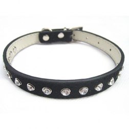 Leather Dog Collar with Inset Crystals