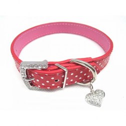 PU Rhinestone Buckle Polka Dot Pattern Collar