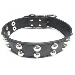 Fashionable and Comfortable Dog Collar With Beads