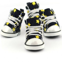 Star Canvas Shoes with Shoelace