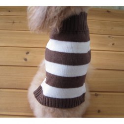 Turtleneck Stripe Sweater