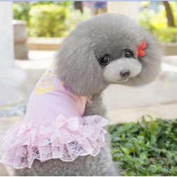 Alluring Sleeveless Lace Dress