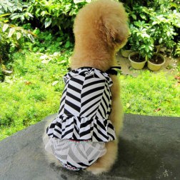 Elegant Swimming Dress with Physical Panty