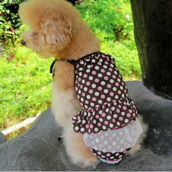 Casual Polka Dot Print Dress