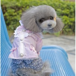 Striped Style Ladylike T-shirt