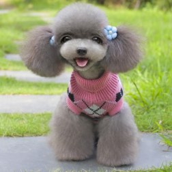 Stylish Grid Rhombus Pattern Sweater