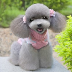 Acrylic Turtleneck Sweater