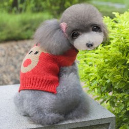 Reindeer Pattern Sweater