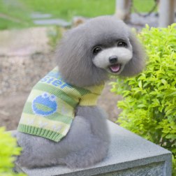 Stretchy Striped Dog Sweater