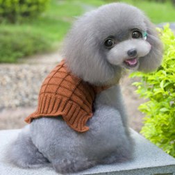 Solid Color Turtleneck Sweater