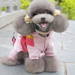 Cotton Pet Jumpsuit with Gold Flashpoint