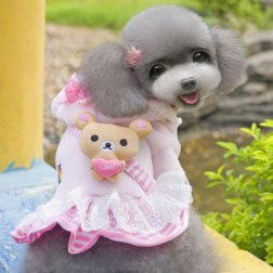 Hooded Fleece Lace Dog Dress