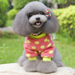 Polka Dot Print Shirt