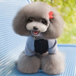 Long Sleeved Batman Hooded Coat