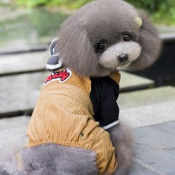 Winnie The Pooh Overalls