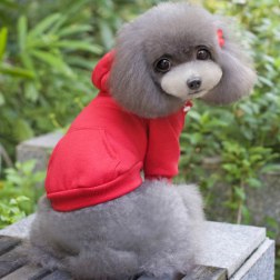 Plain Color Hoodie Autumn Coat