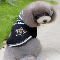 Short Sleeved Awesome Hoodie