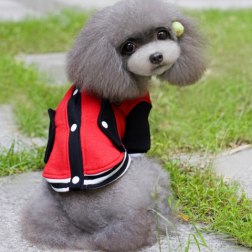 Cotton Sport Baseball Jackets