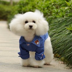 Polka Dot Print Pet Shirt