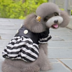 Stripe Design Candy Party Coat