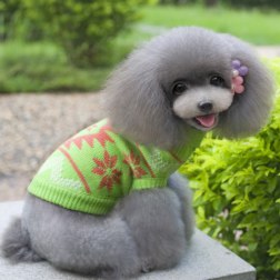 Flower Pattern Sweater