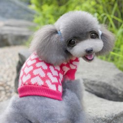 Romantic Heart Pattern Print Sweater