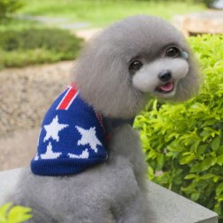 England Flower Pet Sweater