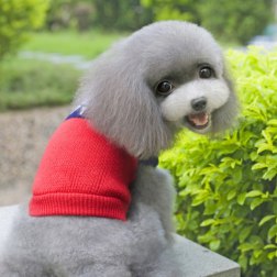 Red-blue Sun Pattern Sweater