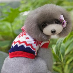 Snow Pattern Hoodie Sweater