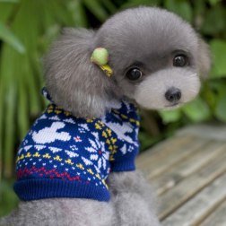 Mickey Pattern with Hoodie Sweater