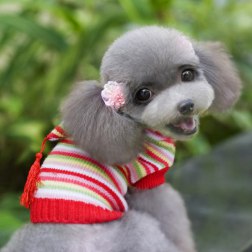 Colorful Striped Hoodie Sweater