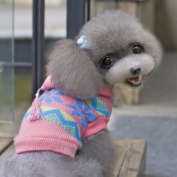 Fashion Stylish Pattern with Hoodie Sweater