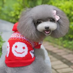 Sweet Smile Hoodie Sweater