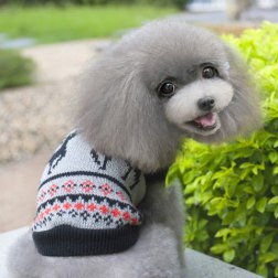 Christmas Reindeer Hooded Sweater