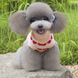 Romantic Love Sweater