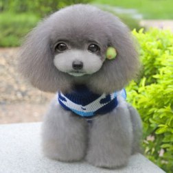 Fashion Stripe Heart Sweater