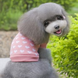 Lovely Pattern Heart Sweater