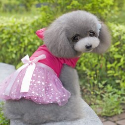 Fashionable Bubble Princess Dress