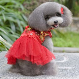 Luxury Sleeveless Chinese Style Dress